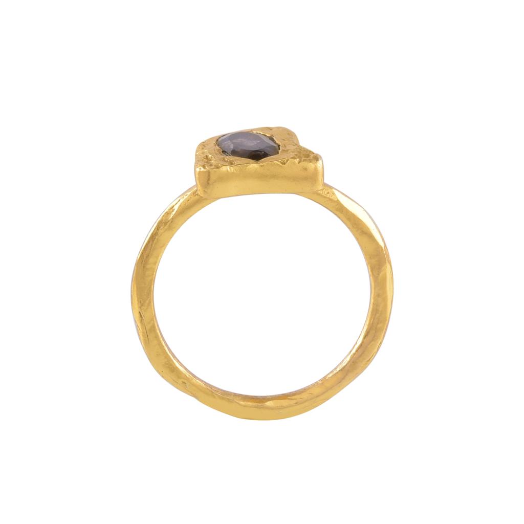 THE SEED GOLD